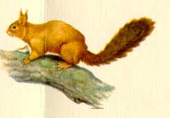 catint10.jpg (4669 bytes)