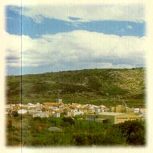 catint8.jpg (12171 bytes)