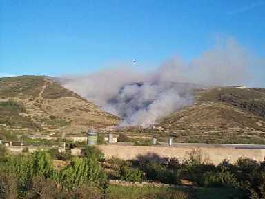 Incendi a la Bassa de les Ortigues