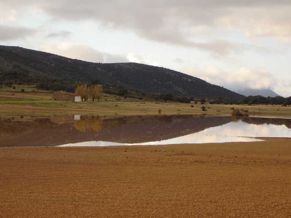 Surten les Llacunes del Pilar (146,4 litres/m2)