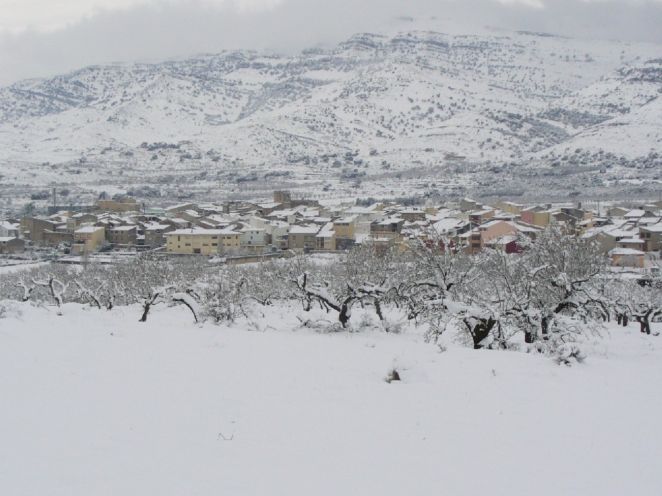 Nevada en Cat (25 de gener de 2007)