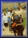 Romera Sant pere